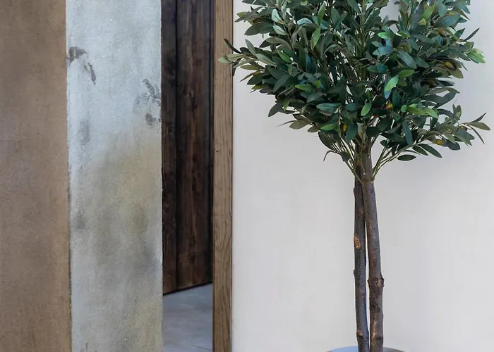 Montijo Relax And Sunny Private Pool Cádiz