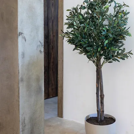 Montijo Relax And Sunny Private Pool Cádiz