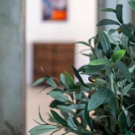 Montijo Wonderful Fireplace And Sunny Private Pool Apartment Cadiz